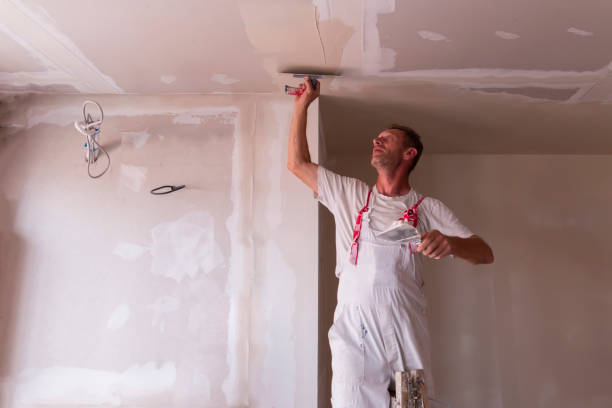 Best Water-Damaged Drywall Repair  in Sisseton, SD